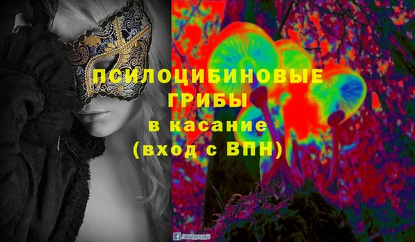 ГАЛЛЮЦИНОГЕННЫЕ ГРИБЫ Лиски
