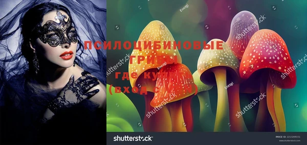 ГАЛЛЮЦИНОГЕННЫЕ ГРИБЫ Лиски