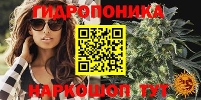 кокс Заводоуковск