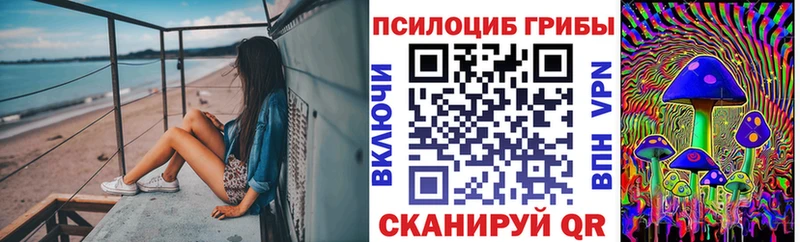 Псилоцибиновые грибы мицелий  Людиново 