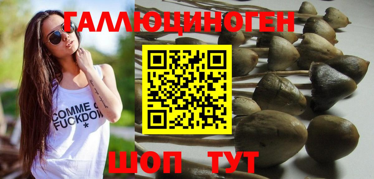 наркошоп  Людиново  Псилоцибиновые грибы Magic Shrooms  Псилоцибиновые грибы Magic Shrooms 