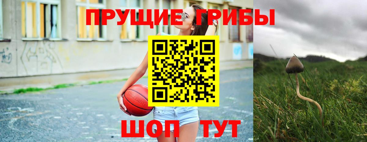 Галлюциногенные грибы Cubensis Людиново