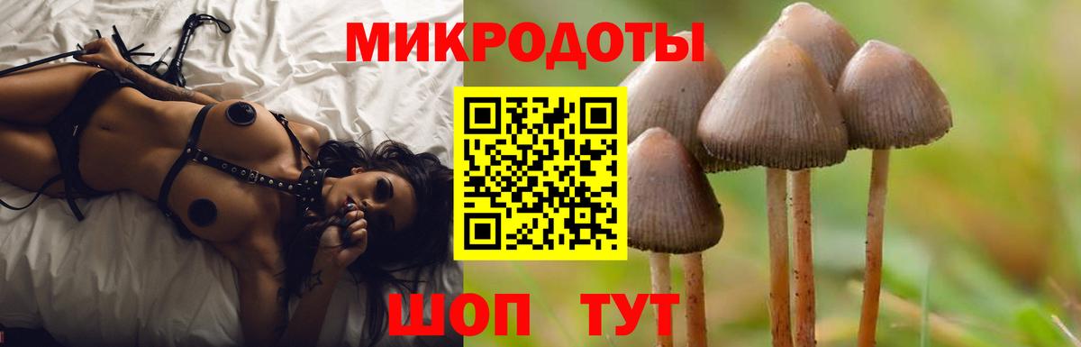 Псилоцибиновые грибы мицелий Людиново